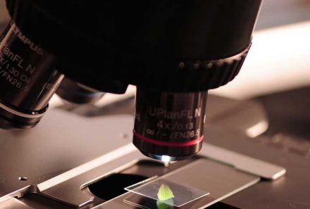 Searching For Her Daughter In Modern Ways