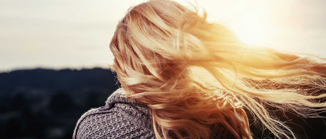 The Birthparents Bill Of Rights