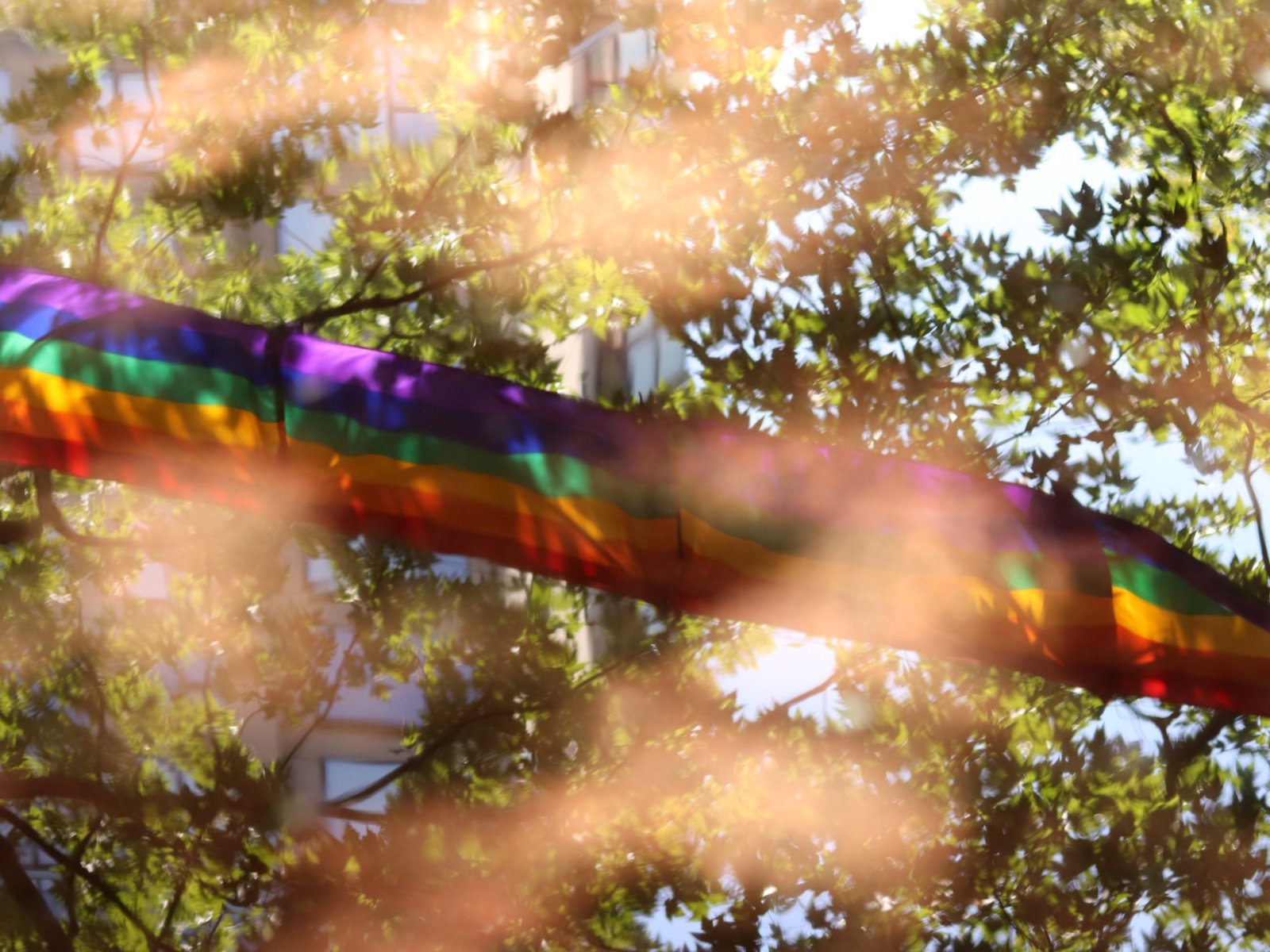 Pride Month and LGBTQ Adoption