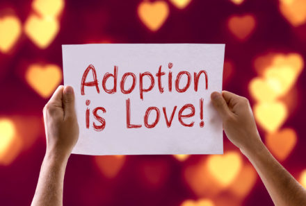Adoption is Love Card