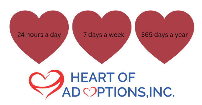 Supportive Services for Expectant Mothers Considering Adoption